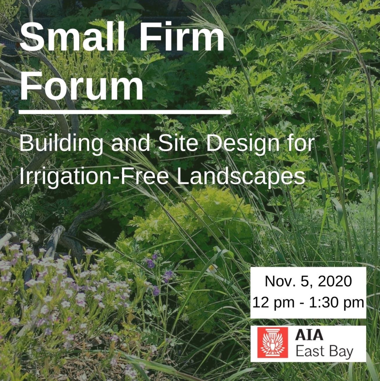 Flyer for a workshop led by John Kamp of Prairieform and sponsored by the AIA East Bay on site and building design for irrigation-free landscapes.