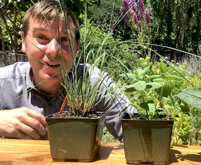 Clip from a video by Prairieform's John Kamp on how to transform your lawn into a garden.