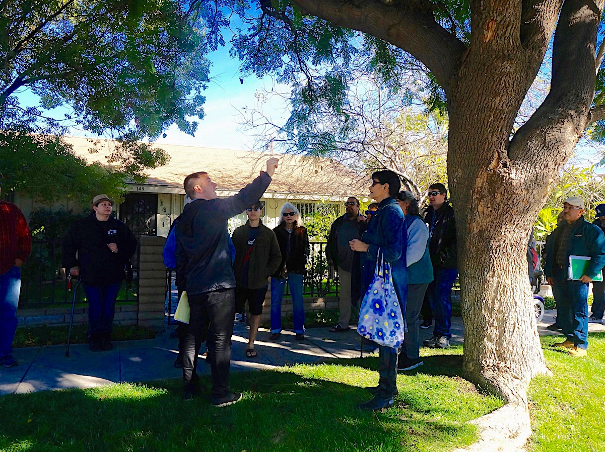 John Kamp of Prairieform pointing out how a large jacaranda tree can completely cool a sidewalk.