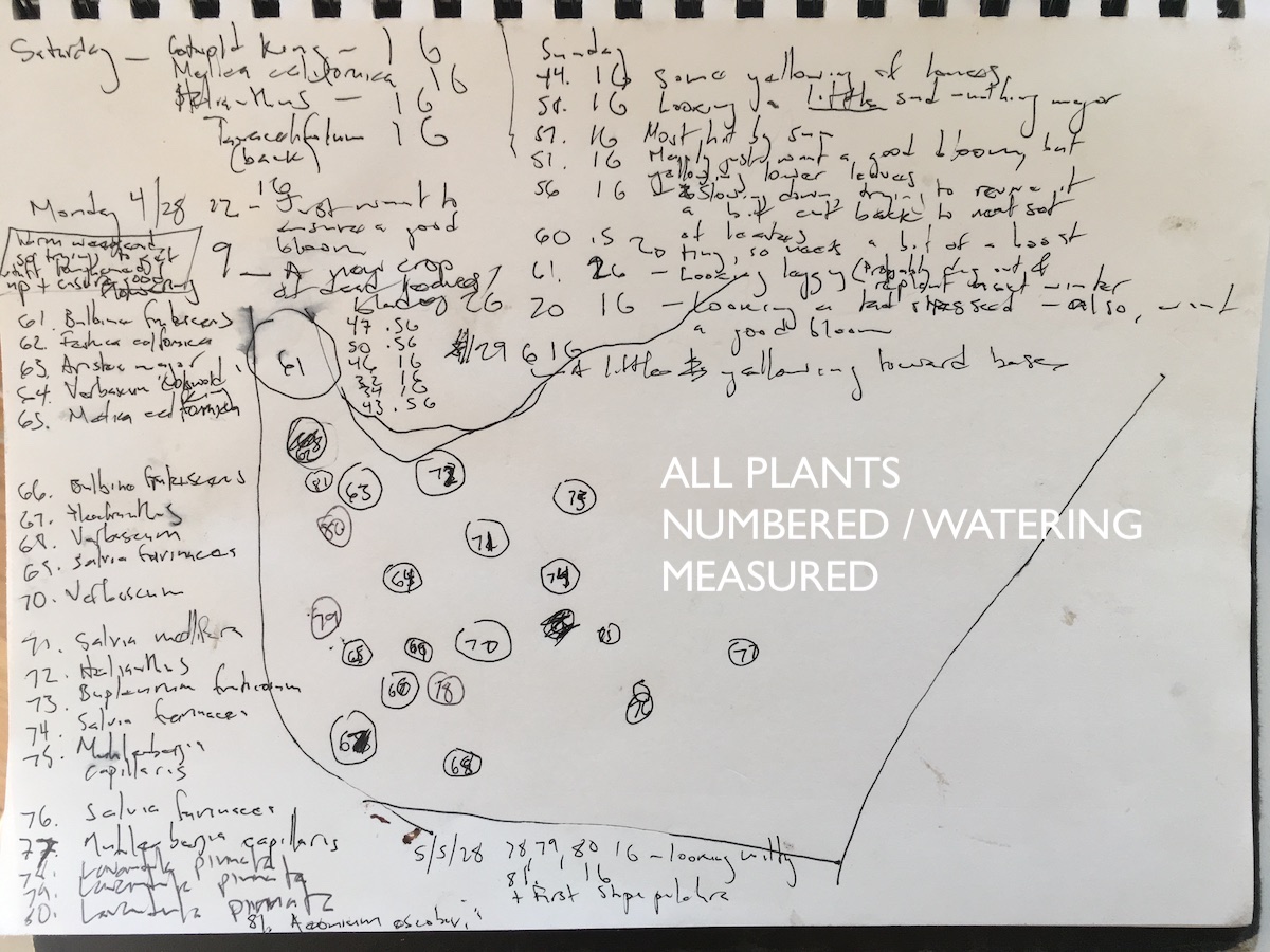 A diagram showing each of the plants in the Oakland irrigation-free landscape and their corresponding number.