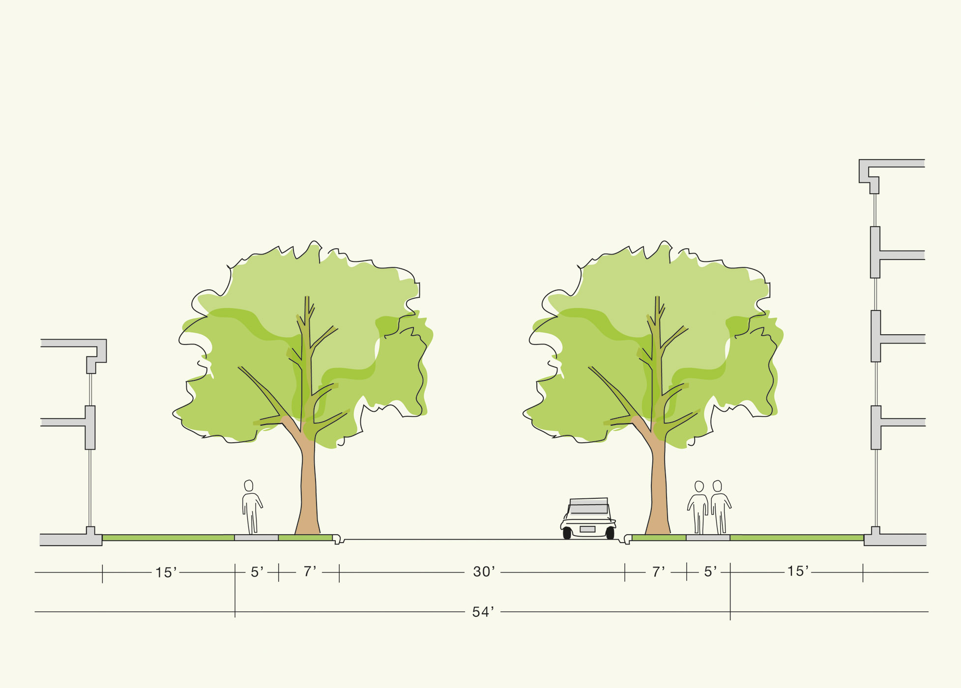 Street section showing how much larger trees can grow within wide parkways in Los Angeles.